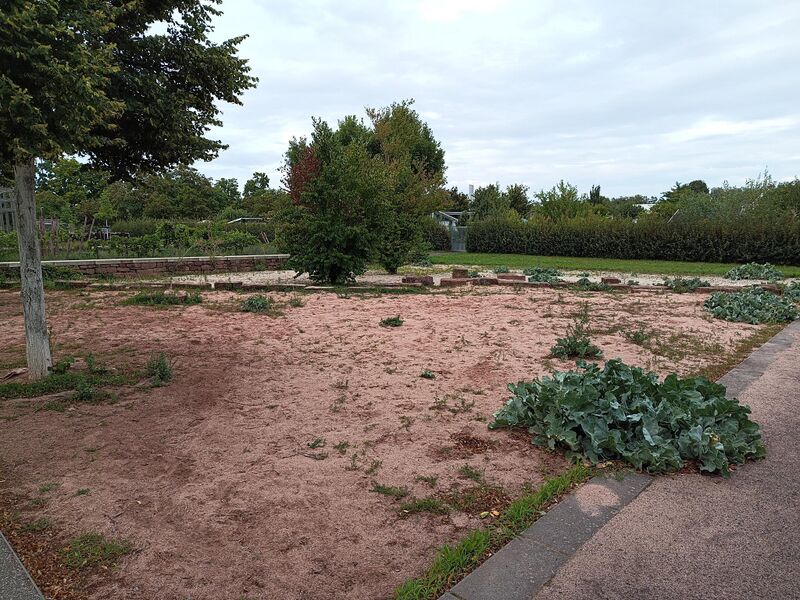 Datei:LGS Landau Sandgarten 3 .jpeg