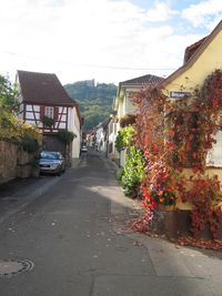 HambacherSchloss Hambach.jpg