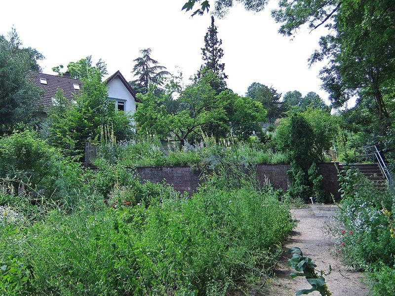 Datei:Heilkräutergarten Weinheim 02.JPG