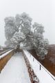 Vorschaubild der Version vom 15:55, 4. Jan. 2017