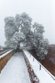 Vorschaubild der Version vom 15:47, 4. Jan. 2017