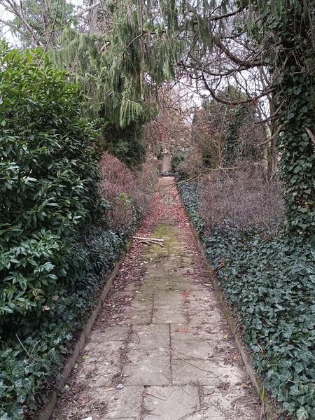Datei:Jüdischer Friedhof Herxheim 2.jpeg