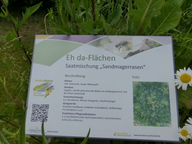 Datei:LGS Landau Eh-da 3.JPG